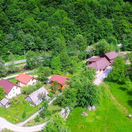 Pensiunea Lupul Dacic Costesti  ภายนอก รูปภาพ