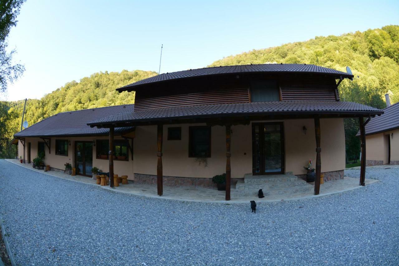 Pensiunea Lupul Dacic Costesti  ภายนอก รูปภาพ