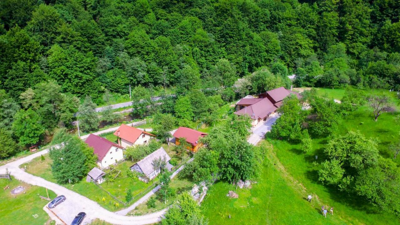 Pensiunea Lupul Dacic Costesti  ภายนอก รูปภาพ