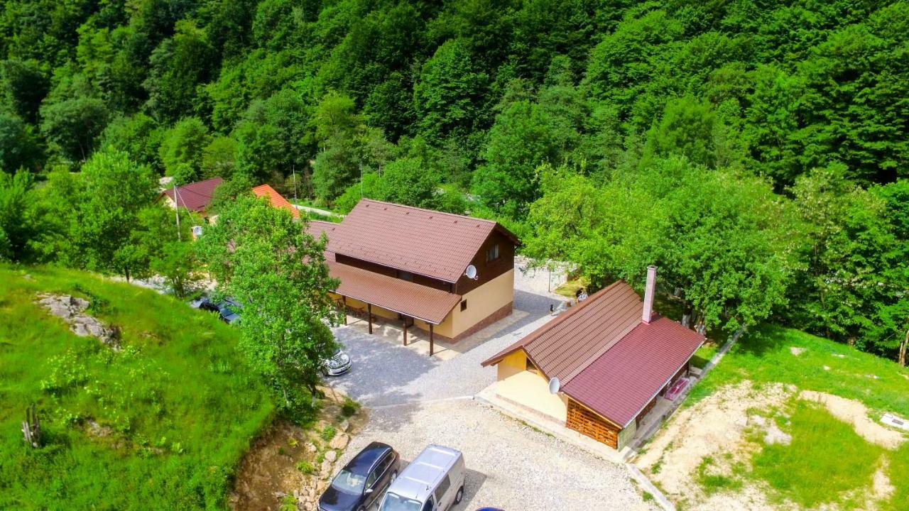 Pensiunea Lupul Dacic Costesti  ภายนอก รูปภาพ