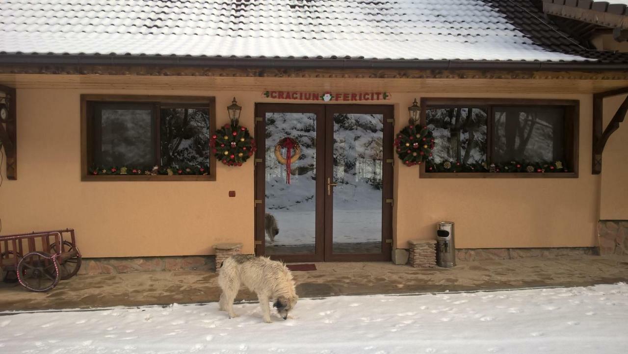 Pensiunea Lupul Dacic Costesti  ภายนอก รูปภาพ