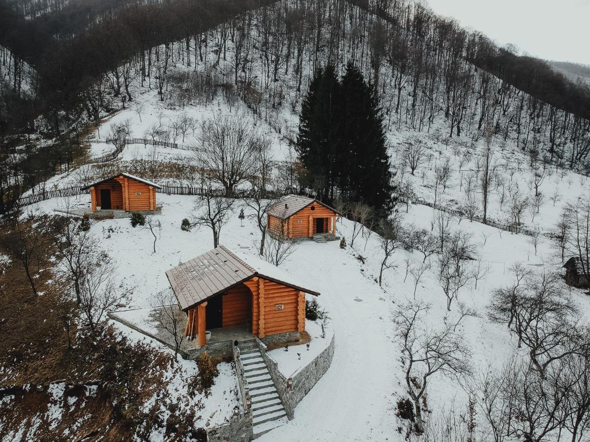 Pensiunea Lupul Dacic Costesti  ภายนอก รูปภาพ